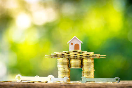 日本の債券市場における金利変動の特徴と投資戦略