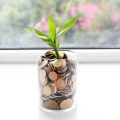 地方移住による老後資金のゆとりと実際の生活コスト比較