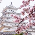 日本の金融庁認可取引所一覧と、その信頼性を徹底検証