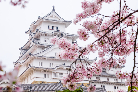 日本の金融庁認可取引所一覧と、その信頼性を徹底検証