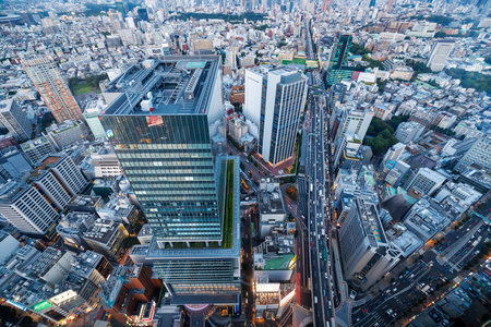 日本におけるマンション投資と一戸建て投資の比較と市場動向