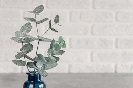 長期保有で変わる株主優待の魅力と特典内容の違い