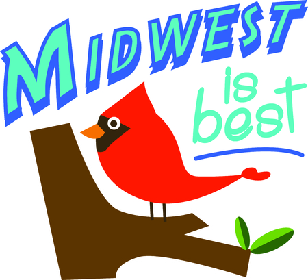 分配型と累積型ファンドにおける信託期間と償還の違いと日本での選択傾向